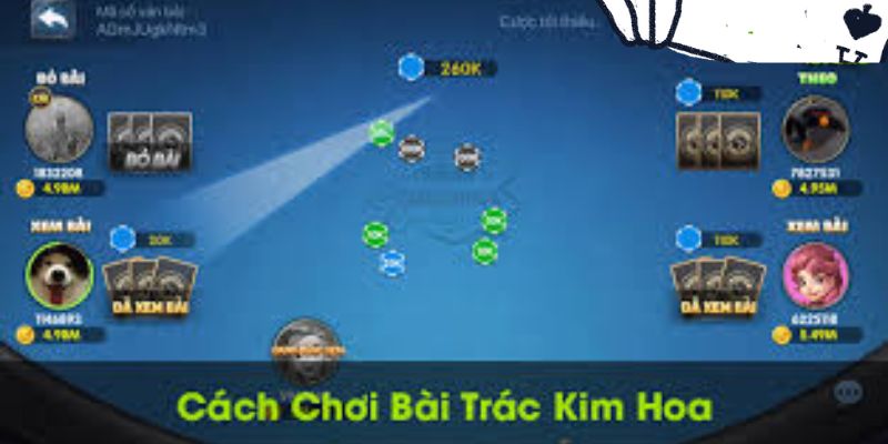 Hướng dẫn chơi Trác Kim Hoa online tại 8DAY